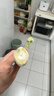大葱约500g 实拍图