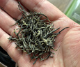 京东京造鲜来多26新茶信阳毛尖绿茶250g明前茶叶栗香嫩芽送礼盒自己喝自营 实拍图