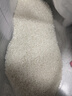 谷丰领猫牙米一级大米优质南方米当季新米正宗丝苗米长粒香大米煲仔饭 正宗猫牙米5斤*1袋 实拍图