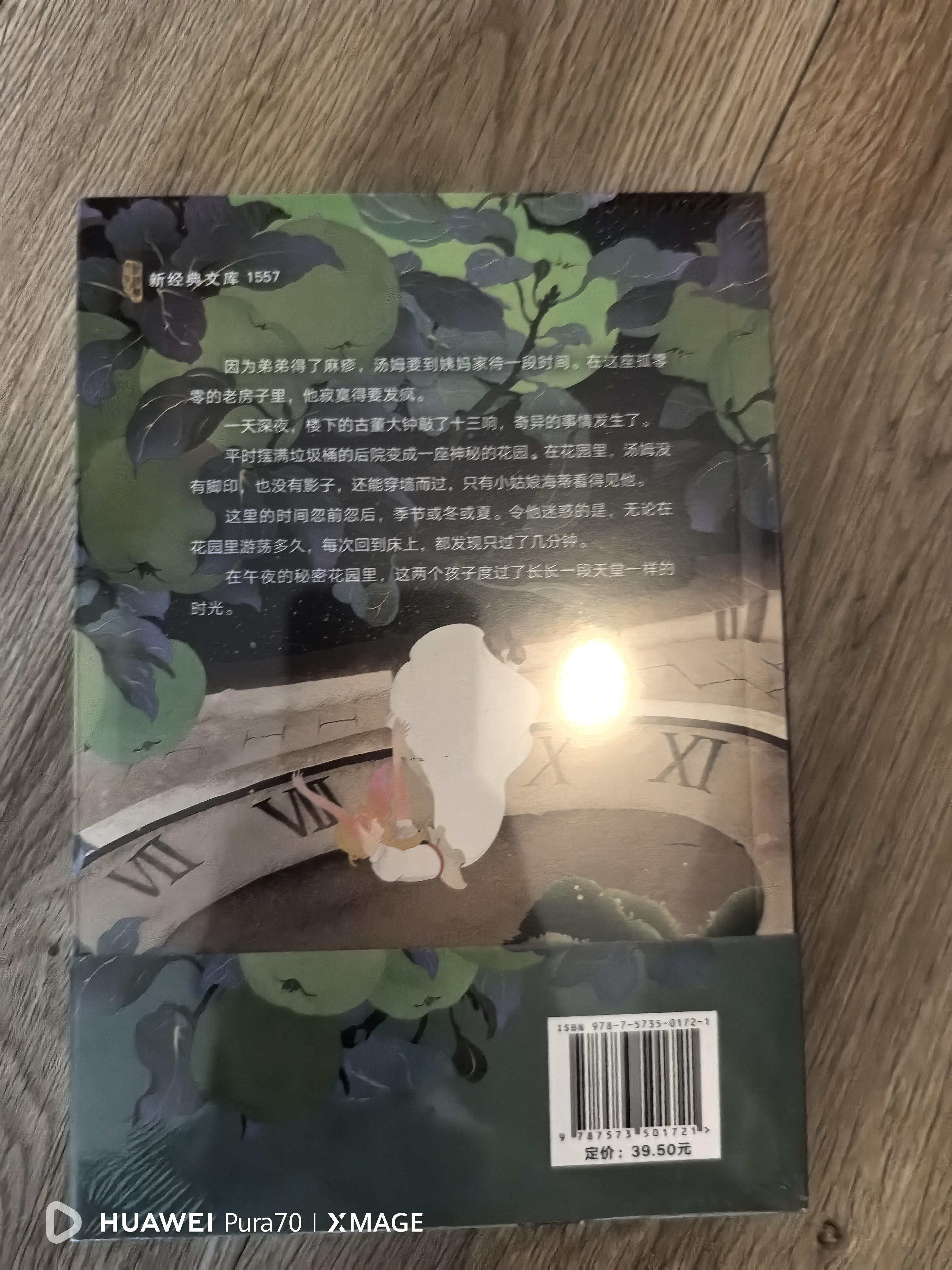 汤姆的午夜花园 （爱心树童书） 课外阅读 阅读 课外书 一升二衔接 小升初衔接  实拍图