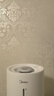 美的（Midea）[小型便携]加湿器家用卧室孕妇婴幼鼻炎静音除菌大雾量办公室宿舍桌面大容量喷雾生日礼物CS-3VWL 实拍图