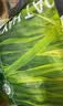 源物派兔子仓鼠提摩西草美国进口美提一番精挑杆叶均匀磨牙高纤维500g 实拍图