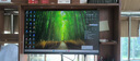 攀升 23.8英寸 1080P全高清 不闪屏 100HZ LED台式电脑显示器VGA+HDMI  实拍图