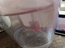 莱卡（LAICA）意大利原装进口滤水壶净水壶滤芯家用办公自来水净水器过滤水壶过滤芯通用其他水壶 进口版高效滤芯6只F6M 实拍图
