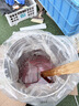 切瑞西 防腐木油木器清漆耐候防水实木油漆户外家具漆木油漆涂料木漆熟桐油木蜡油透明色清油木纹漆自刷油漆 透明色 18L 实拍图