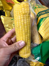十月稻田 黄甜糯玉米 8根 3.52斤 真空包装 东北粘玉米棒 低脂早餐 实拍图