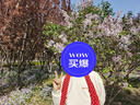 真维斯（Jeanswest）圆领卫衣女春秋2026新款女装无帽长袖美式潮牌上衣女士高级感外套 米色-黑桃皇后_左袖下 M 【需要宽松版型正常拍即可】 实拍图