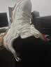 李宁红糖 柿柿如意丨老爹鞋女秋冬新款减震回弹经典休闲鞋AGCW098 实拍图