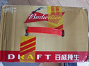 百威啤酒经典纯生500ml*12听整箱装新旧包装京东自营踏春送礼 实拍图