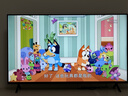 索尼（SONY）价保618 品质款 3系 K-55S30 55英寸 X80L升级款 4K HDR 全面屏电视 平板电视 实拍图