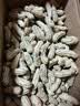 【精品大粒】云南新鲜七彩花生手工挑选带皮湿花生水果新鲜蔬菜 4斤-净重 实拍图