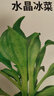 北蔬 冰菜种子苗水晶冰草阳台种盆栽四季蔬菜种籽 水晶冰菜种子1000粒 实拍图
