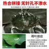 雅煌篷布加厚防水布料防晒遮阳帆布户外帆布遮雨布油布篷布绿银2*2米 实拍图