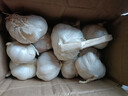 紫白皮蒜水果大蒜超市即食生鲜蔬菜大蒜 【优选】净重0.8斤 单果3.5-5cm 实拍图