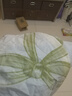 洁丽雅A类纯棉7A抗菌枕套一对 加厚印花枕头套枕芯套 语茉花开48*74cm 实拍图