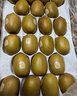 佳沛（zespri）新西兰 新果季 阳光金奇异果10粒巨大果单果146-175g 猕猴桃 实拍图