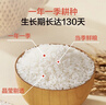 1号会员店东北大米 有机长粒香米 2.5kg 真空包装 有机大米【当季新米】 实拍图