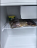 美的（Midea）93L单门小冰箱一级低音复古白色小单温冷藏租房家用宿舍办公室可放美妆BC-93MF【国家补贴】 实拍图
