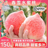 顺丰特大果春雪水蜜桃新鲜桃子水果脆甜毛桃应季孕妇次日达 1斤【大果丨单果150g+】 实拍图