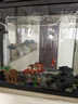 疯狂石头鱼缸活性硝化细菌 鱼池净化水质分解鱼便【硝化细菌600ML装】 实拍图