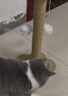 HELLOJOY猫抓柱剑麻猫抓板猫玩具耐抓耐磨不掉屑猫爬架立式自嗨解闷用品 实拍图