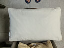 京东京造 经典荞荞枕 100%荞麦壳填充透气高度可调花草枕头枕芯单只装 实拍图