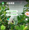 九千谷滴水器自动浇花器3只装渗水器家用自动浇花定时懒人浇水器1428 实拍图