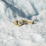 舒星信封信纸套装礼盒高级感手写信情书表信纸情书信纸教师节三八女神节妇女节贺卡七夕送女友告白 实拍图