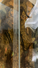 广东黑壳虾活体除藻鱼套餐除藻虾清洁虾观赏虾草虾鱼缸活体免包邮 黑壳虾包活30只+送20只备损共50 实拍图