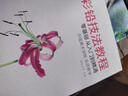 美学《彩铅技法教程》入门自学零基础临摹本教材书籍手绘花卉花鸟动物多肉风景人物绘画画册集彩色铅笔美术 实拍图
