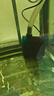 彻朗静音水泵鱼缸潜水泵循环泵底吸泵海水缸小型家用过滤抽水泵25w 实拍图