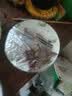 黑六首农旗下国企品质北京黑猪肉前腿肉肘子肘肋排肉馅梅花五花肉 黑六梅肉400g 实拍图