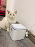 小佩恒温加温器3代 【恒温25°C】宠物饮水机适用自动喝温水加温器 SE 实拍图