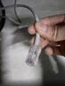 山泽 六类网线水晶头 6类RJ45千兆网络接头 工程级电脑网线连接器适用超六类非屏蔽网线 100个 WL-6100 实拍图