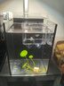金晶超白玻璃桌面鱼缸小型家用办公室生态懒人全套造景小缸水草缸 裸缸+防滑垫 15*15*20 实拍图