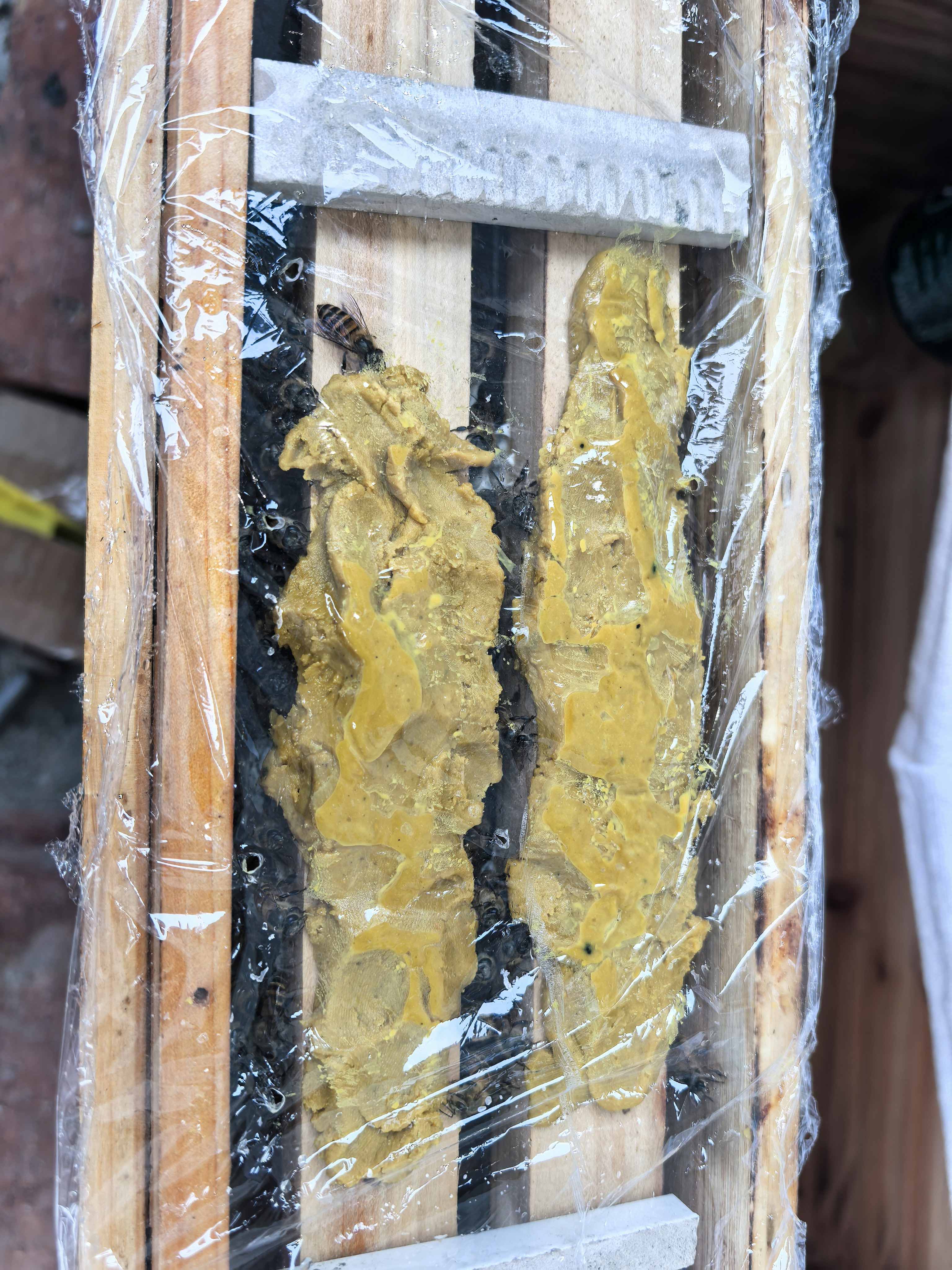 蜂之家油菜花粉2026养蜂喂蜂蜂用优质天然杂花粉蜜蜂饲料颗粒蜂花粉养蜂 1斤新粉 实拍图