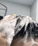 馥诺诗氨基酸洗发水男女士去屑止痒控油持久蓬松留香洗头膏露金榜第1名 晒单实拍图