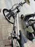 凤凰上海凤凰山地车自行车男士女式学生成人变速宽胎越野公路赛单车 【钢架/全套竞速轴承】条轮消灰 26寸24速【建议身高158-188cm】 实拍图