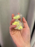 安耳悠 隔音耳塞德国进口睡眠防噪音睡觉专用降噪女士小号款minisoft5副 实拍图