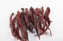 爱蜀味二荆条辣椒80g 罐装 正宗四川辣椒 香辣长干海椒 微辣特香干辣椒 实拍图