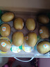 佳沛（zespri）新西兰 新果季 阳光金奇异果10粒巨大果单果146-175g 猕猴桃 实拍图