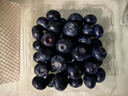 怡颗莓Driscoll's 云南蓝莓Jumbo大果18mm+ 4盒约125g/盒 新鲜水果 实拍图