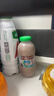 李子园【成毅代言】甜牛奶饮品低脂低糖朱古力奶225ml*20瓶整箱营养早餐 实拍图