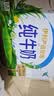 伊利【新鲜日期】纯牛奶250ml*24盒 优质乳蛋白 早餐奶 礼盒装 实拍图