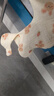 爱贝迪拉（AIBEDILA）婴儿口水巾3条纯棉印花围嘴宝宝360°旋转饭兜6层新生儿纱布 围兜 实拍图