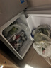华宝小冰箱小型家用出租房用冷藏冷冻两用一级能效节能省电迷你宿舍寝室办公室二门电冰箱 【店长推荐】58L银色【一级能效】 实拍图