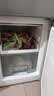 澳柯玛（AUCMA）183升双门小型家用电冰箱家用租房用双开门小冰箱二门冰箱节能低噪 以旧换新 BCD-183HCDNE 实拍图