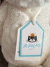 Jellycat害羞乳白色邦尼兔动物毛绒玩偶安抚玩偶娃娃送礼生日礼物 害羞乳白色邦尼兔 Medium 实拍图