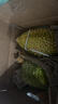 京鲜生 泰国进口金枕头鲜榴莲 2-3个装 总重10斤以上 鲜果生鲜 新鲜水果 实拍图