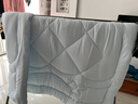 水星家纺被子冬季被子被芯抗菌七孔纤维被褥200cm*230cm蓝 实拍图
